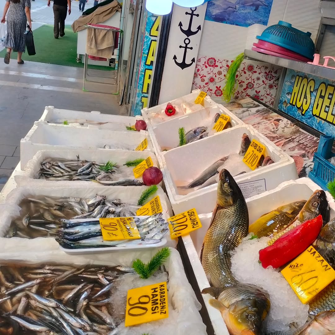 Munzur Balıkçısı 